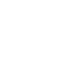 The Apollo